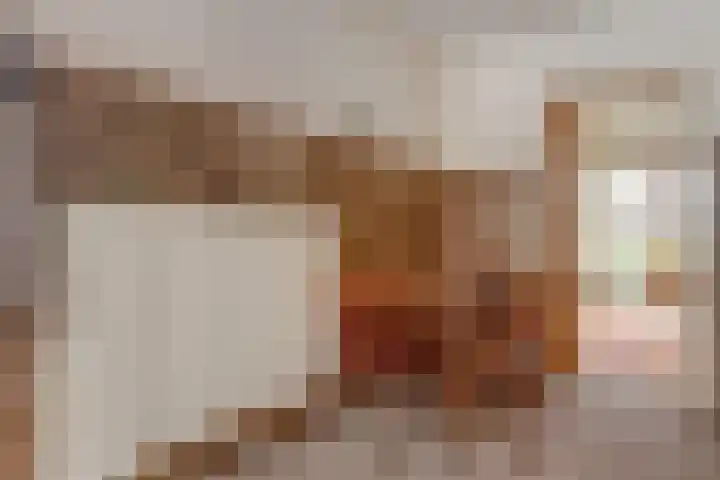 van Alkemadestraat 40 De Lier thumbnail 17