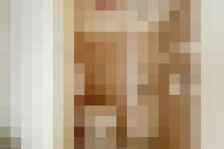 van Alkemadestraat 40 De Lier thumbnail 19