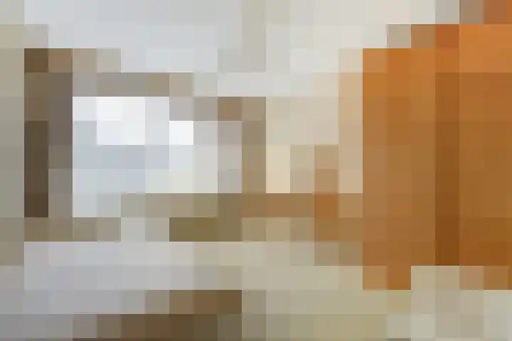 van Alkemadestraat 40 De Lier thumbnail 22