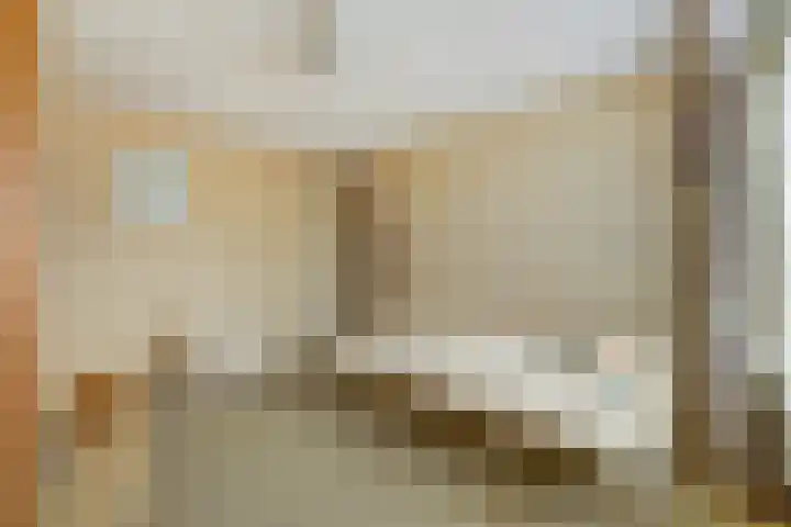 van Alkemadestraat 40 De Lier thumbnail 23