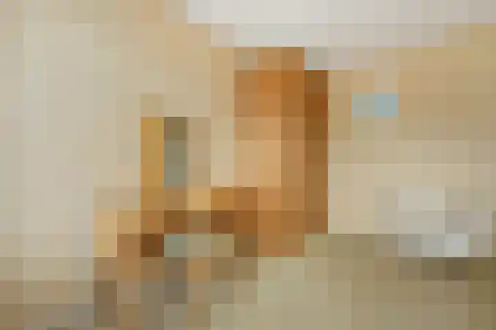 van Alkemadestraat 40 De Lier thumbnail 24