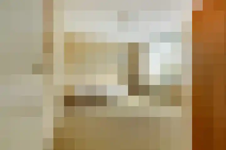 van Alkemadestraat 40 De Lier thumbnail 25