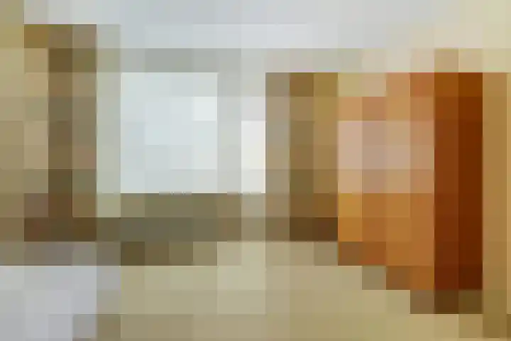 van Alkemadestraat 40 De Lier thumbnail 27