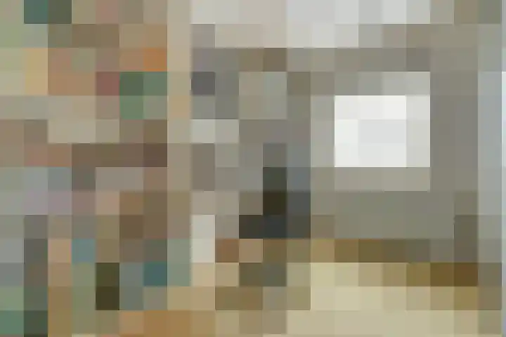 van Alkemadestraat 40 De Lier thumbnail 28