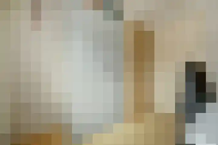 van Alkemadestraat 40 De Lier thumbnail 29