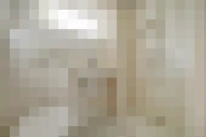 van Alkemadestraat 40 De Lier thumbnail 30