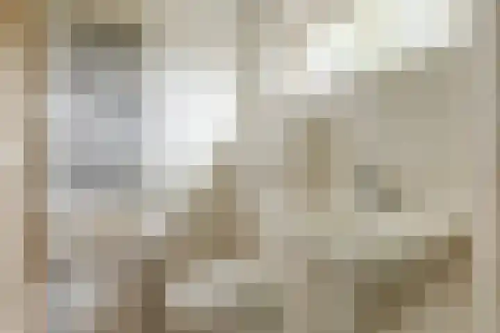 van Alkemadestraat 40 De Lier thumbnail 31
