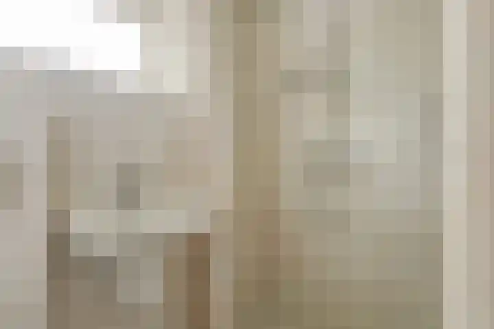 van Alkemadestraat 40 De Lier thumbnail 32