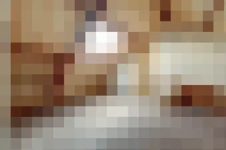 van Alkemadestraat 40 De Lier thumbnail 34