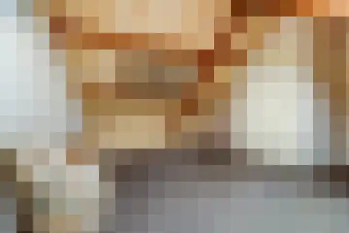 van Alkemadestraat 40 De Lier thumbnail 35