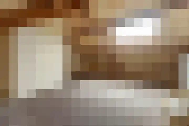 van Alkemadestraat 40 De Lier thumbnail 36