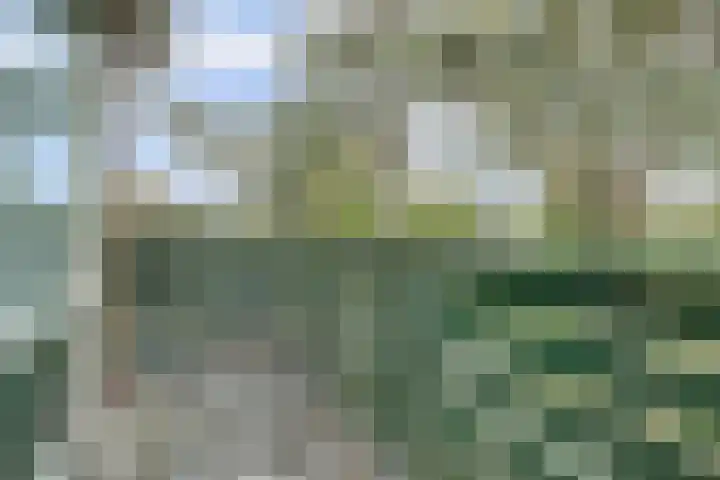 van Alkemadestraat 40 De Lier thumbnail 37