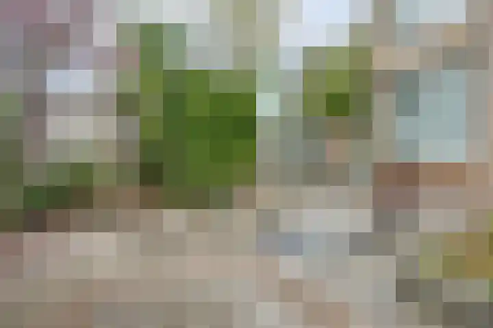 van Alkemadestraat 40 De Lier thumbnail 4