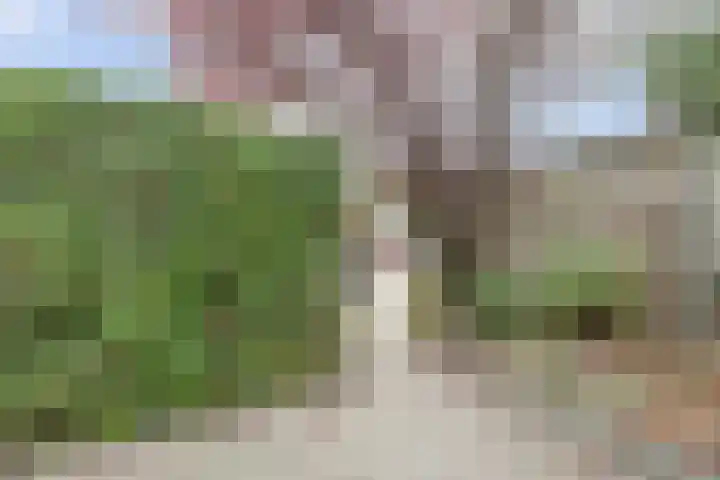 van Alkemadestraat 40 De Lier thumbnail 40