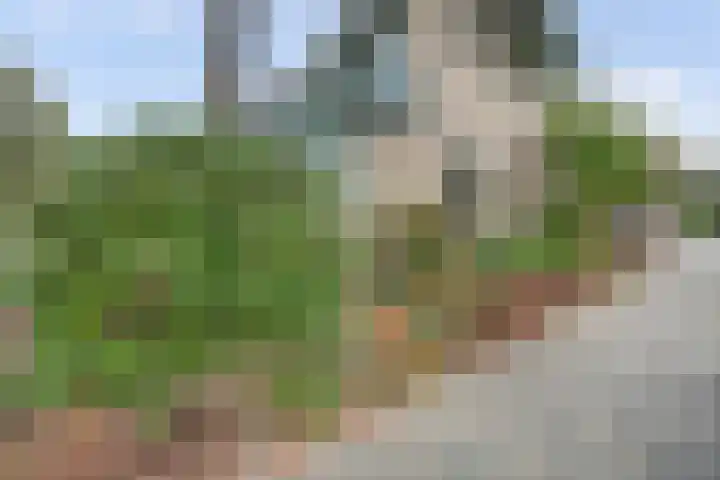 van Alkemadestraat 40 De Lier thumbnail 41