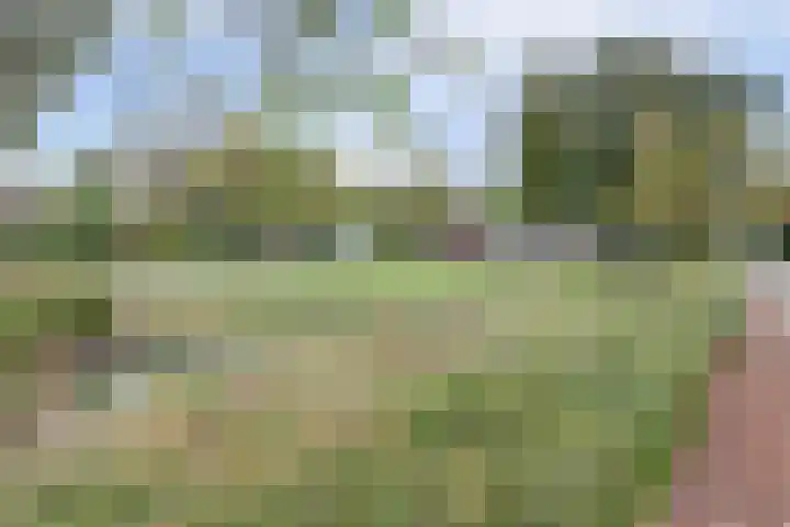 van Alkemadestraat 40 De Lier thumbnail 44