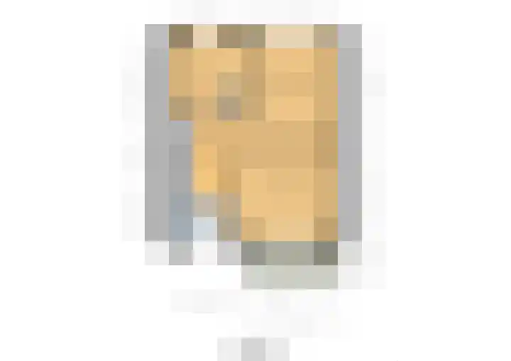 van Alkemadestraat 40 De Lier thumbnail 46