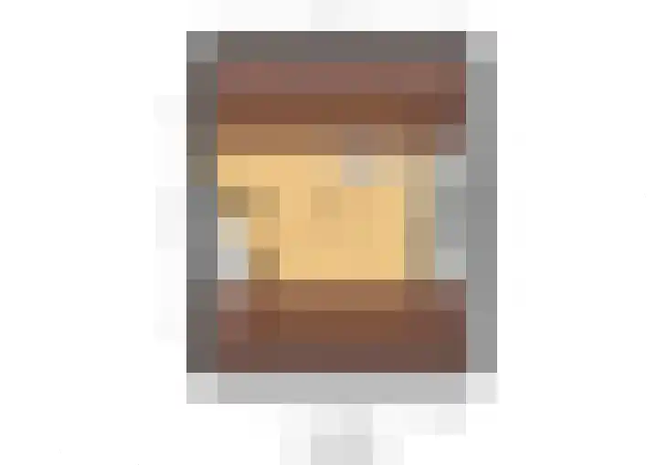 van Alkemadestraat 40 De Lier thumbnail 47