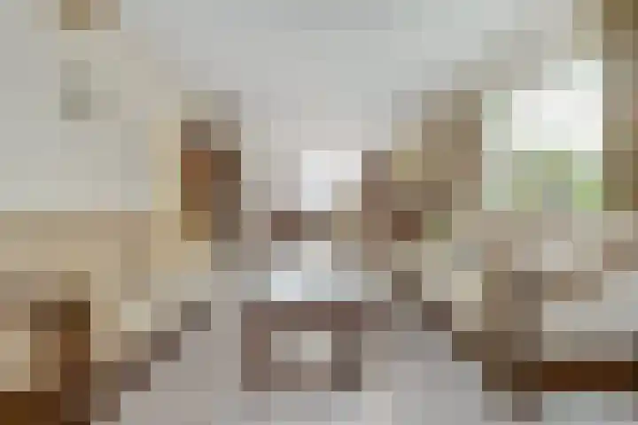 van Alkemadestraat 40 De Lier thumbnail 5