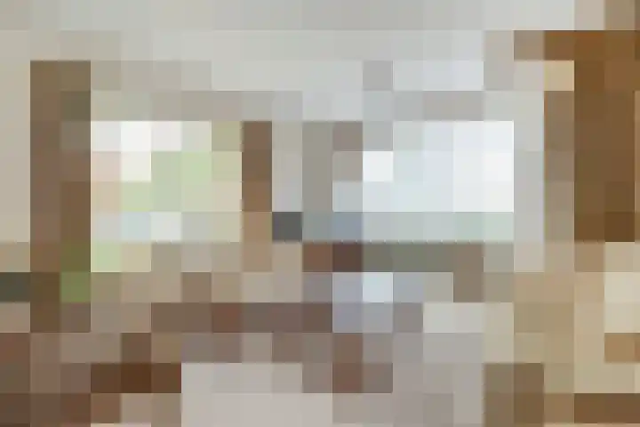 van Alkemadestraat 40 De Lier thumbnail 7
