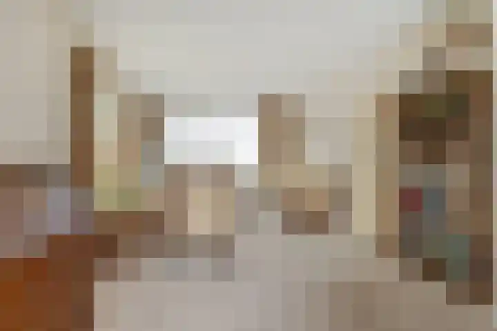 van Alkemadestraat 40 De Lier thumbnail 9