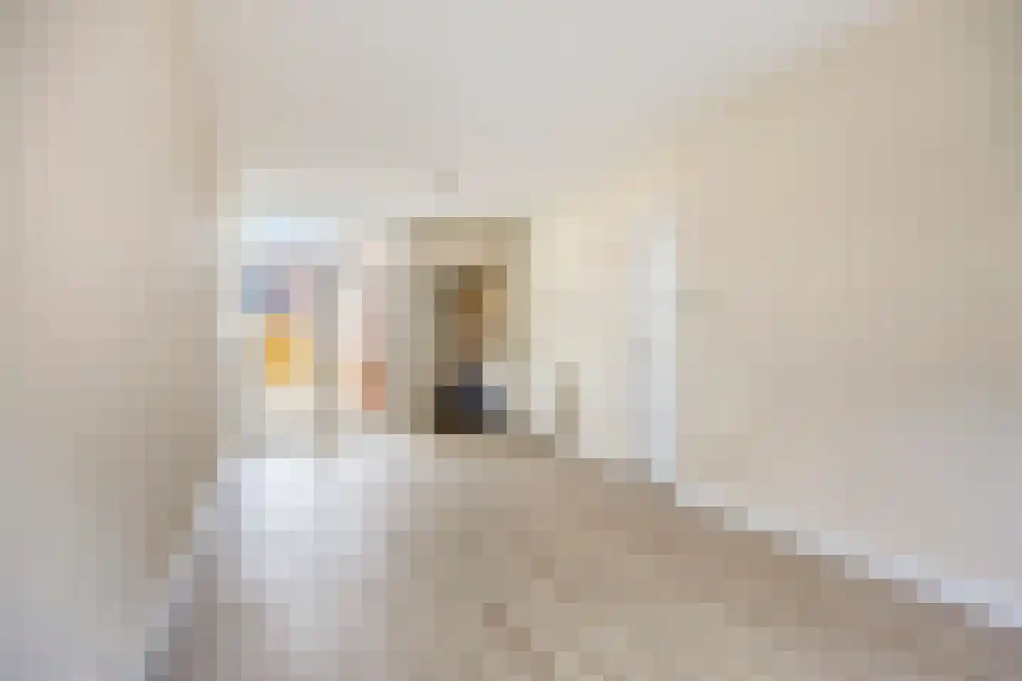 Van Alkemadestraat 6 Tilburg thumbnail 6