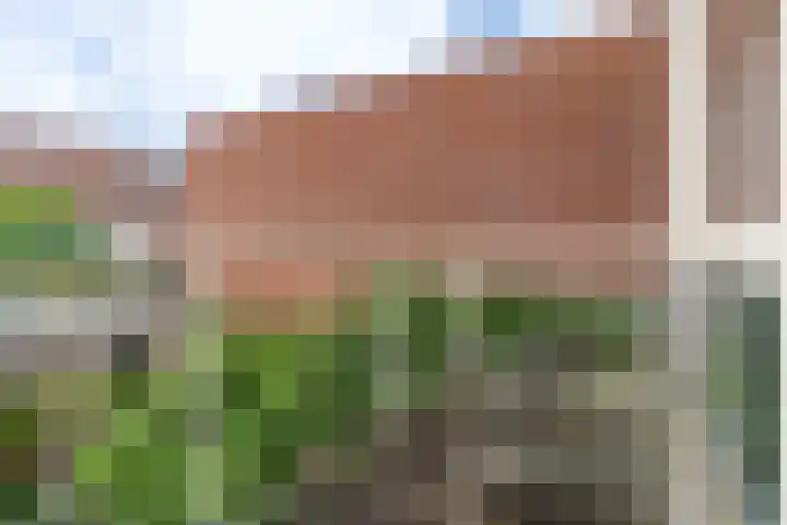 Van Alkemadestraat 7 Delft thumbnail 27