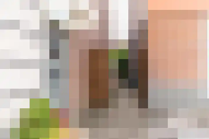 Van Alkemadestraat 7 Delft thumbnail 7