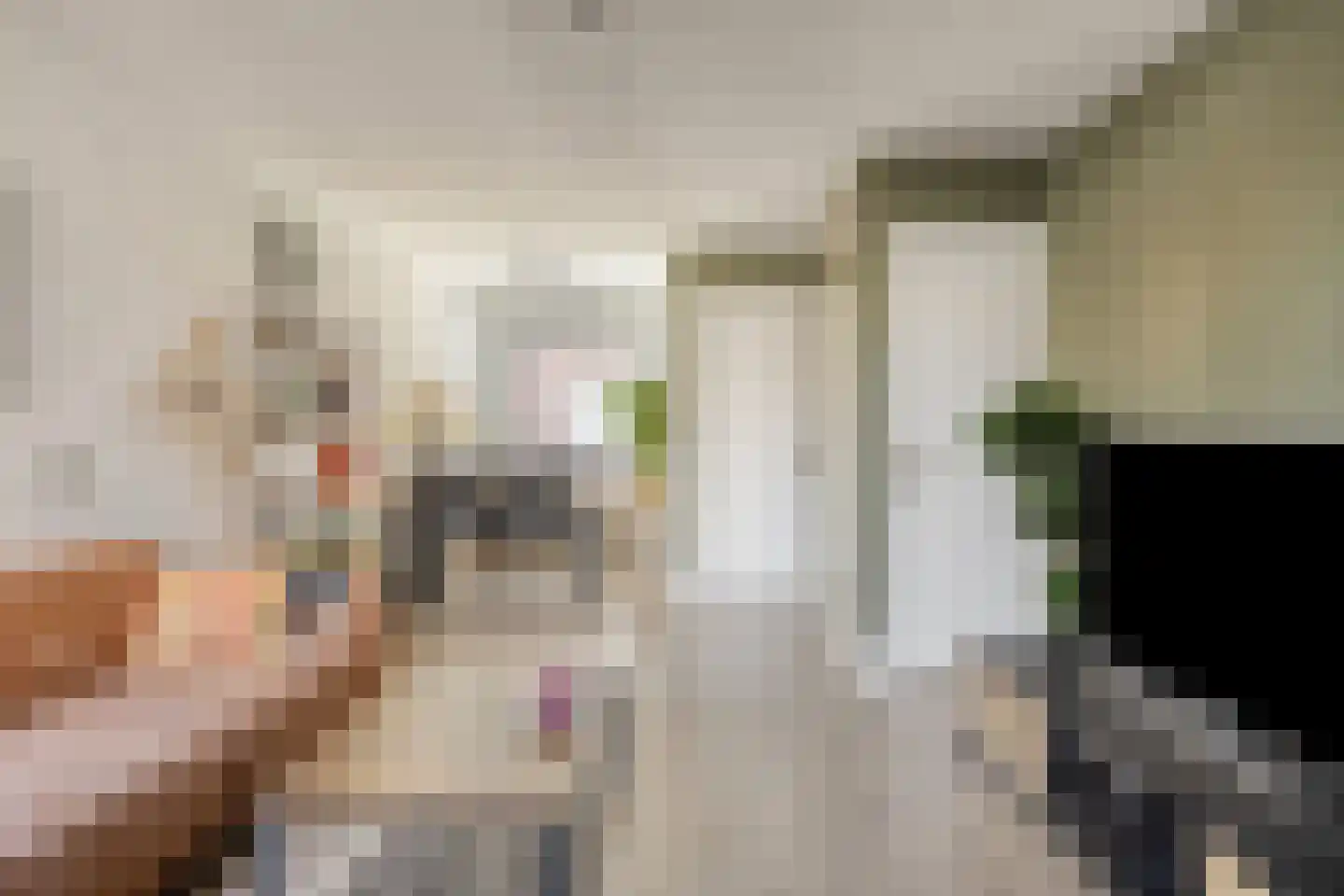 Van Alkemadestraat 7 Tilburg thumbnail 13