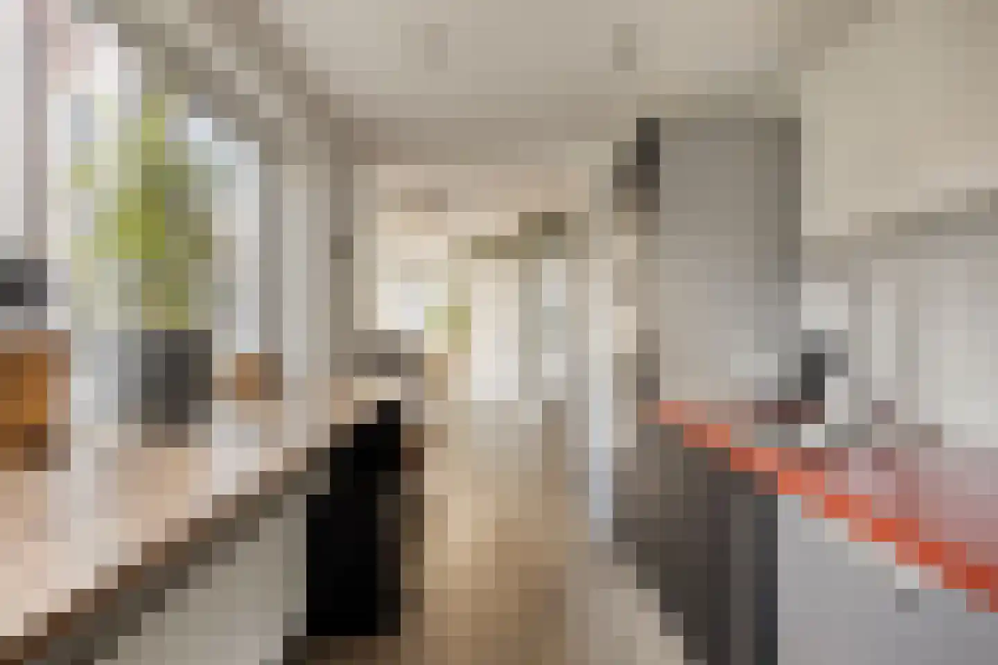 Van Alkemadestraat 7 Tilburg thumbnail 18