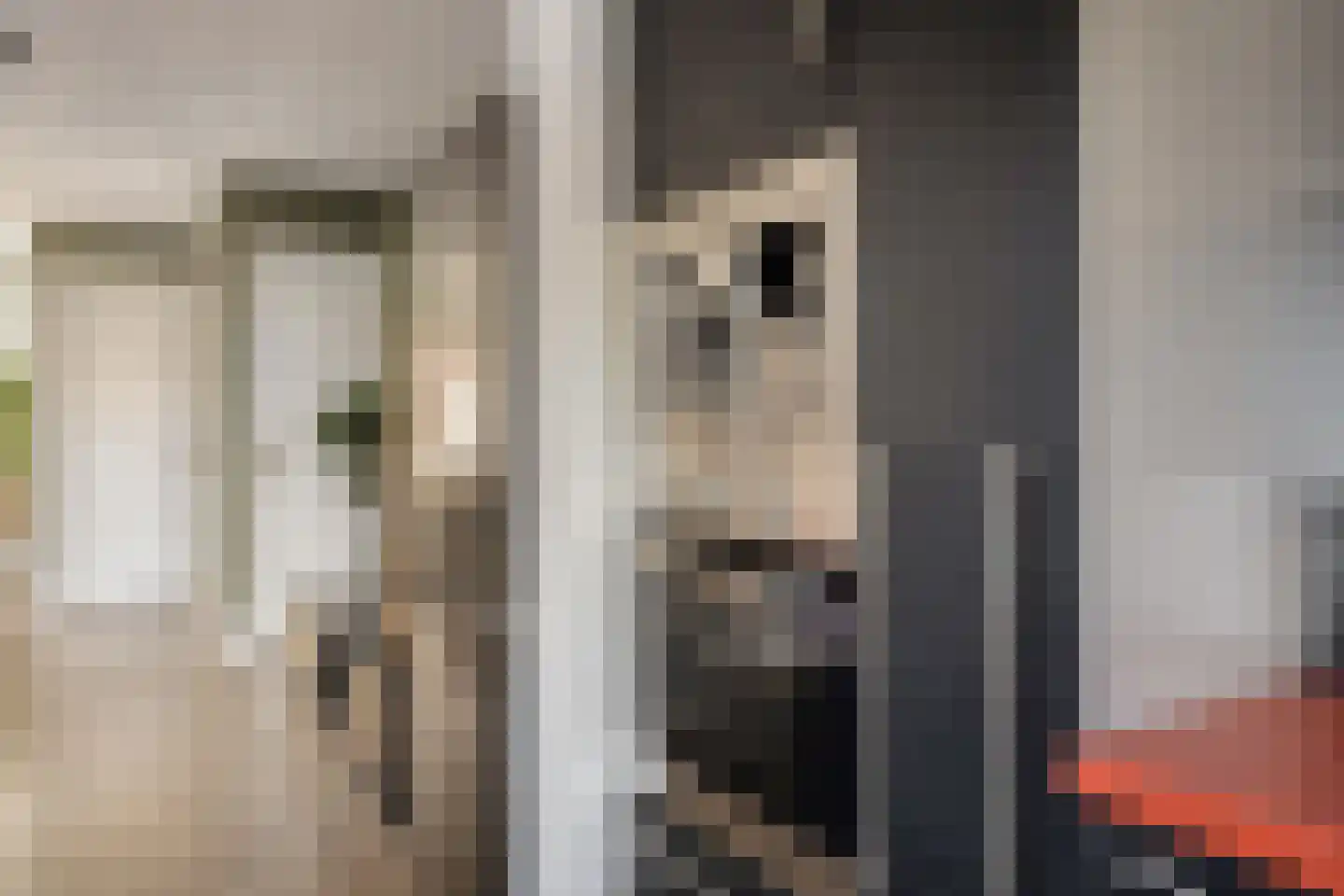 Van Alkemadestraat 7 Tilburg thumbnail 19