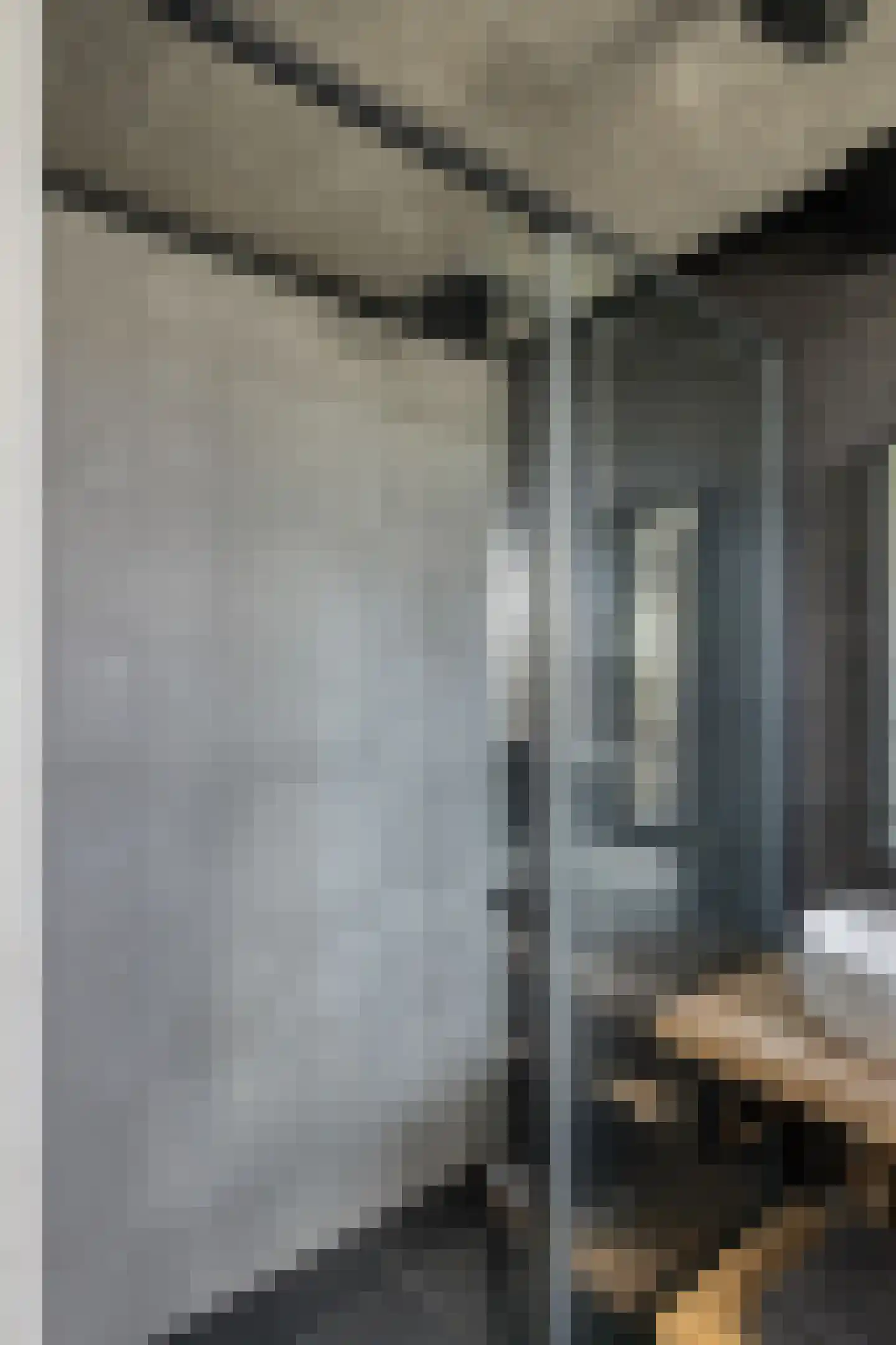 Van Alkemadestraat 7 Tilburg thumbnail 22