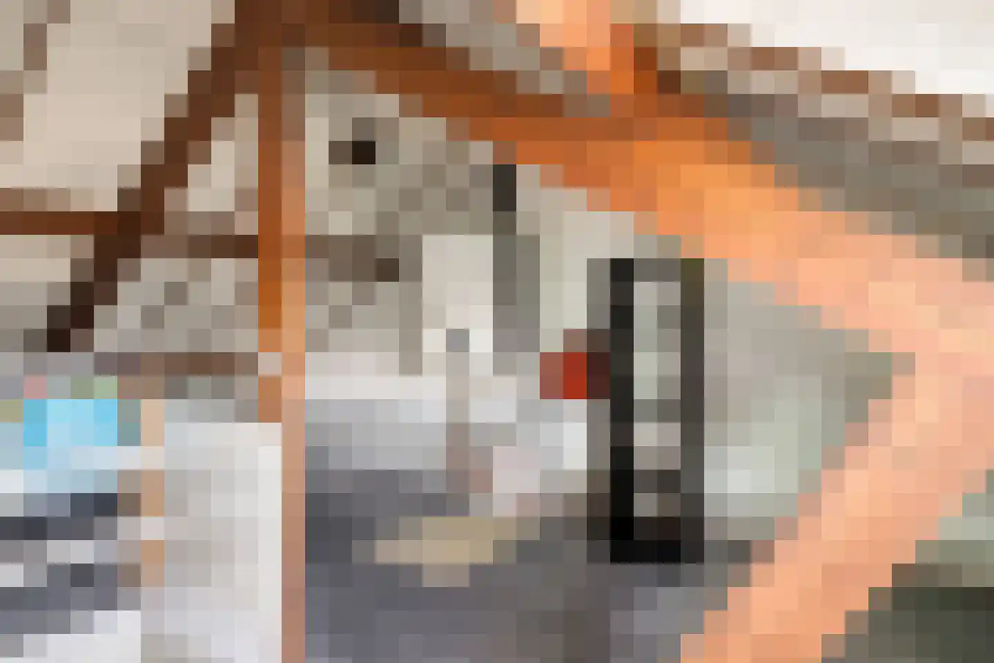 Van Alkemadestraat 7 Tilburg thumbnail 39