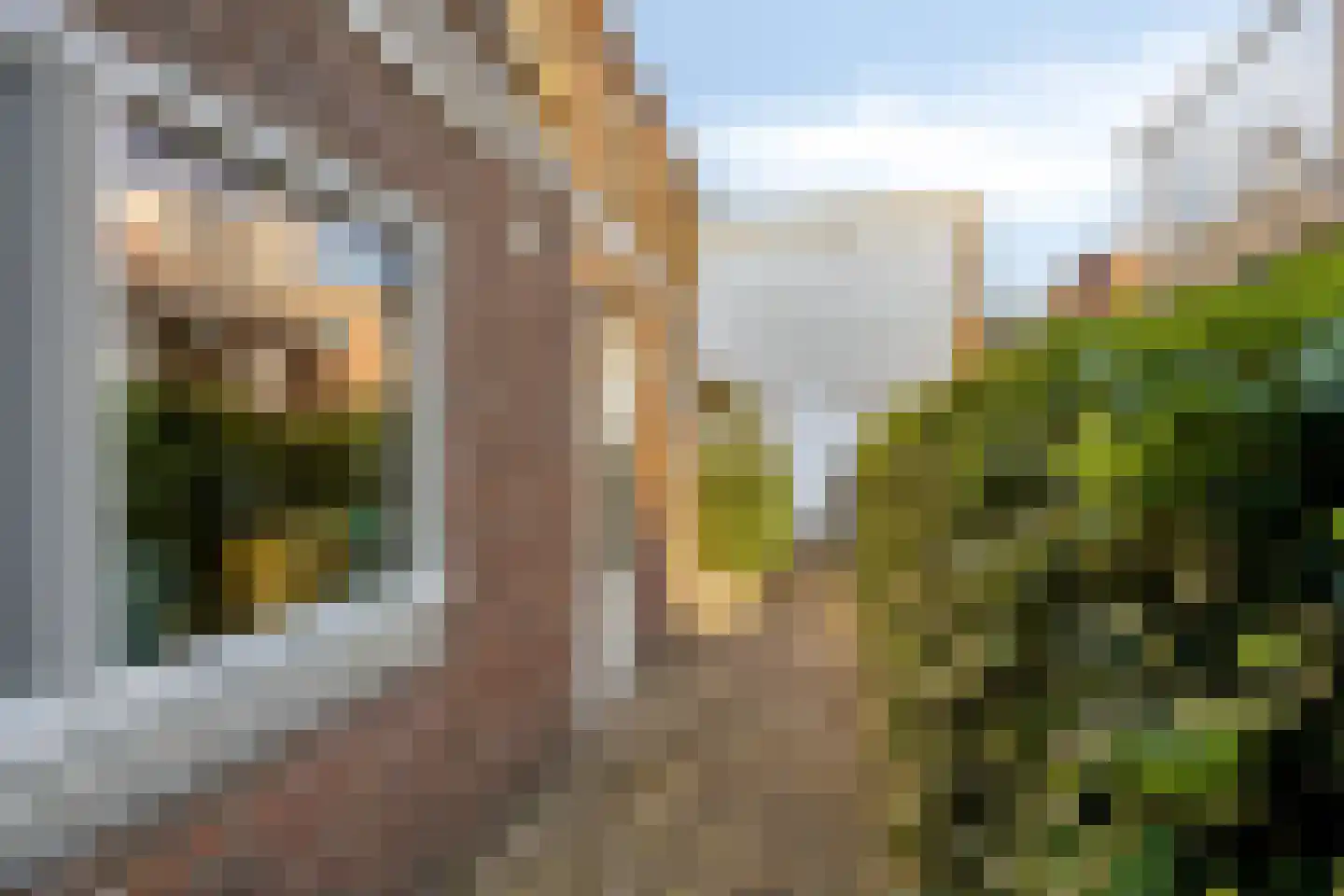 Van Alkemadestraat 7 Tilburg thumbnail 40