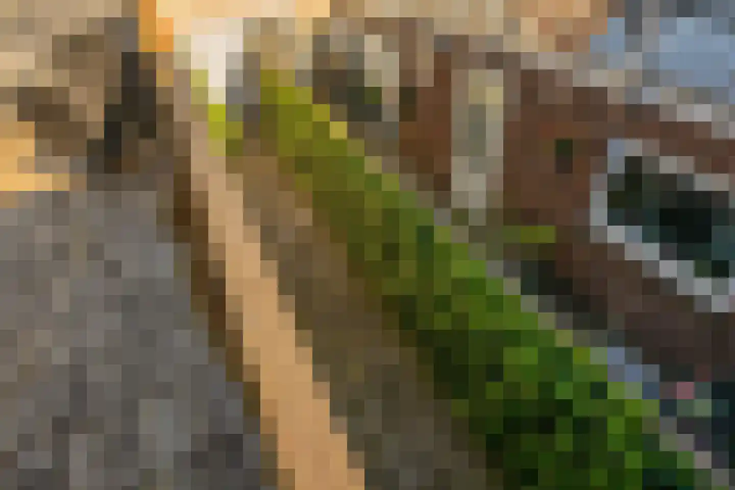 Van Alkemadestraat 7 Tilburg thumbnail 43