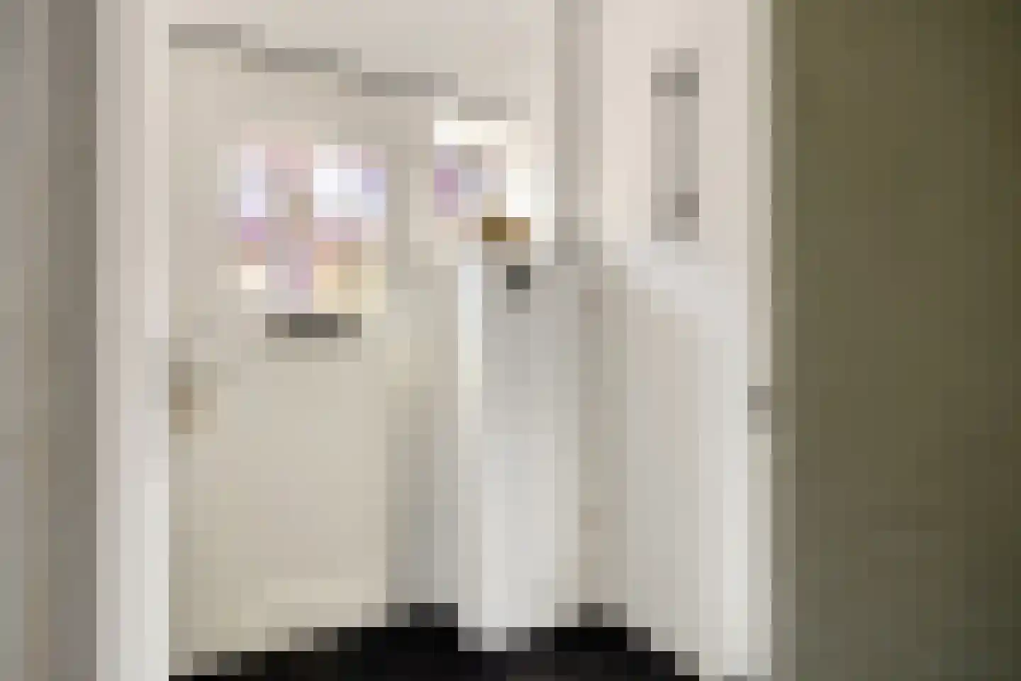 Van Alkemadestraat 7 Tilburg thumbnail 7