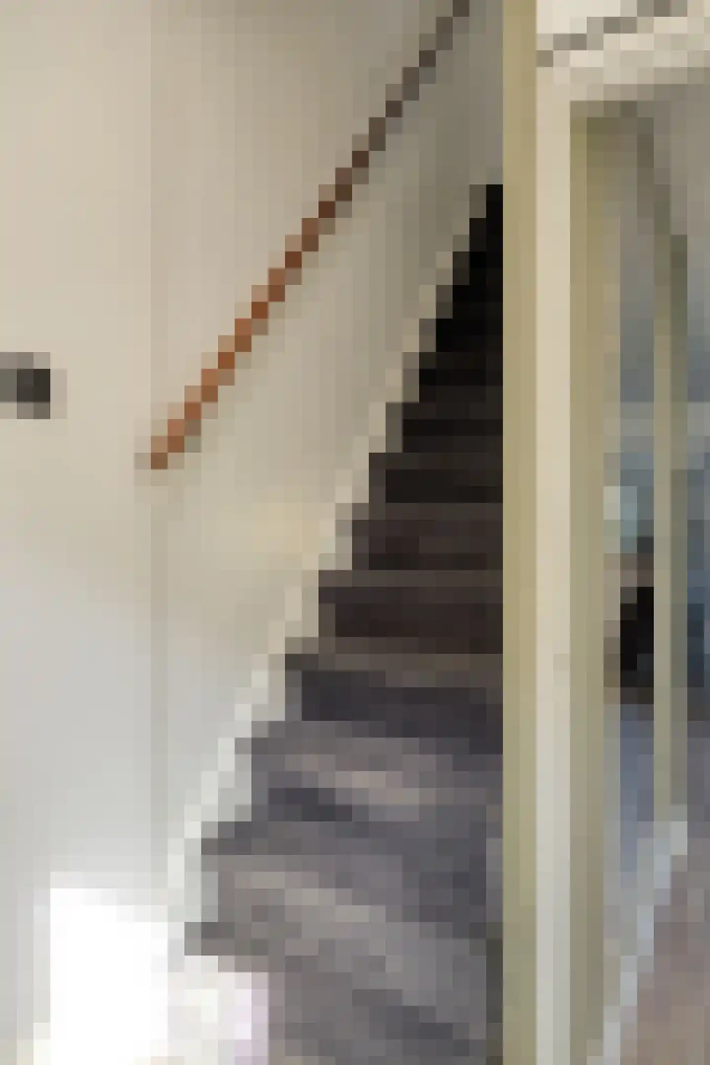Van Alkemadestraat 7 Tilburg thumbnail 9