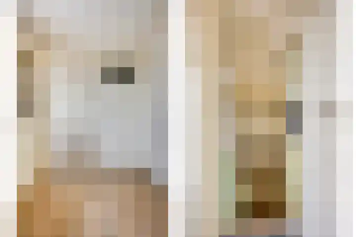 Van Alkemadestraat 8 Tilburg thumbnail 10