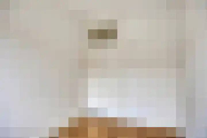Van Alkemadestraat 8 Tilburg thumbnail 23