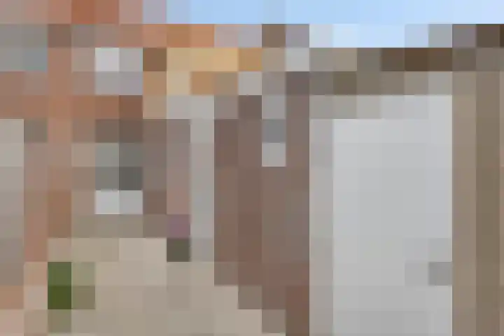 Van Alkemadestraat 8 Tilburg thumbnail 32