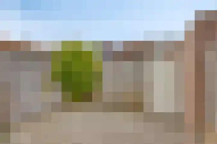Van Alkemadestraat 8 Tilburg thumbnail 33