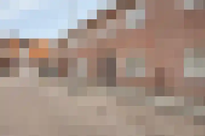 Van Alkemadestraat 8 Tilburg thumbnail 38