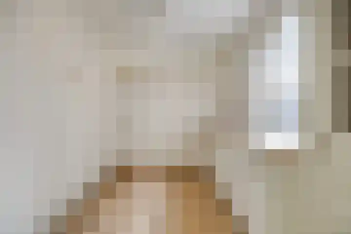 Van Alkemadestraat 8 Tilburg thumbnail 7