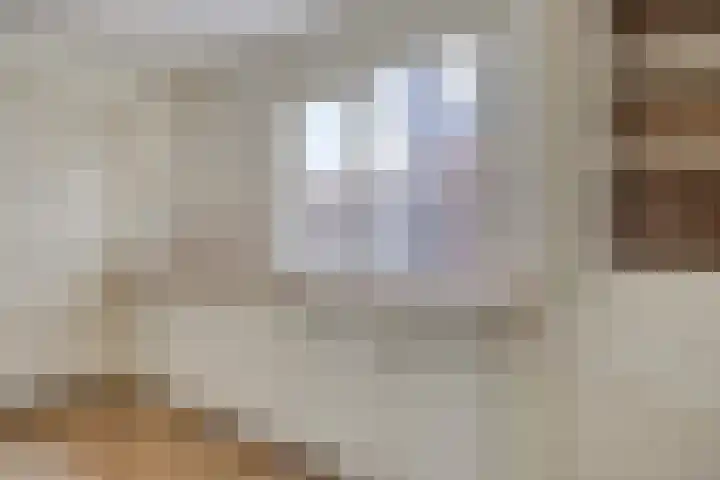Van Alkemadestraat 8 Tilburg thumbnail 8