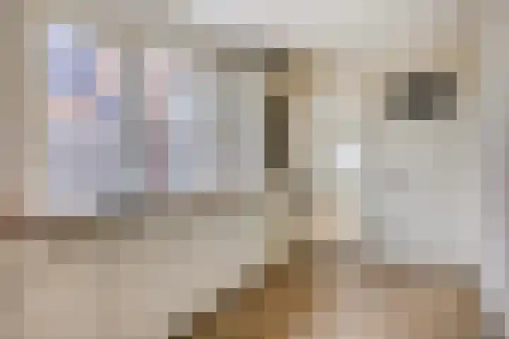 Van Alkemadestraat 8 Tilburg thumbnail 9