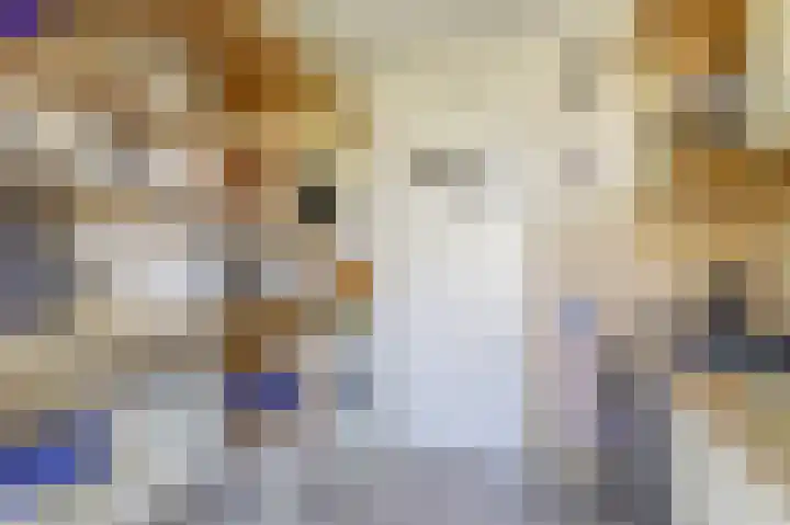 van Alkemadestraat 87 De Lier thumbnail 10