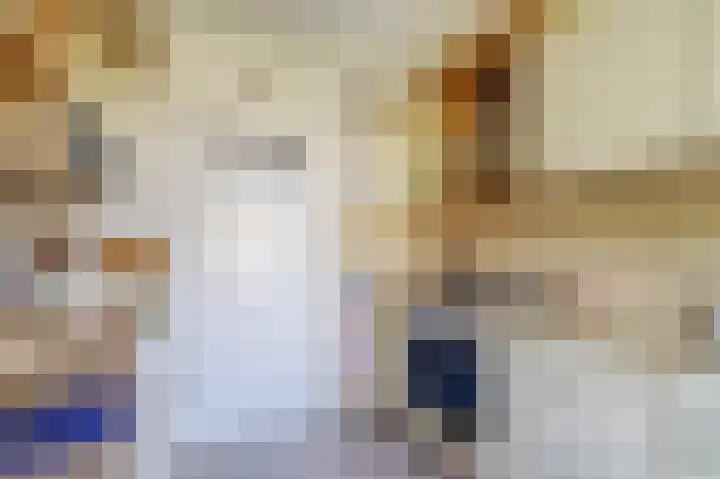 van Alkemadestraat 87 De Lier thumbnail 11
