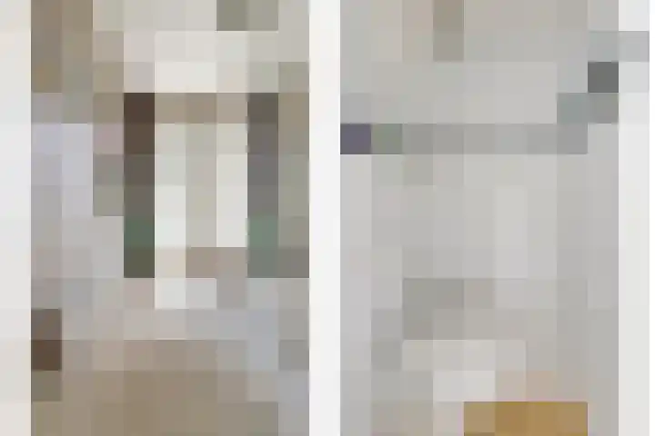 van Alkemadestraat 87 De Lier thumbnail 12