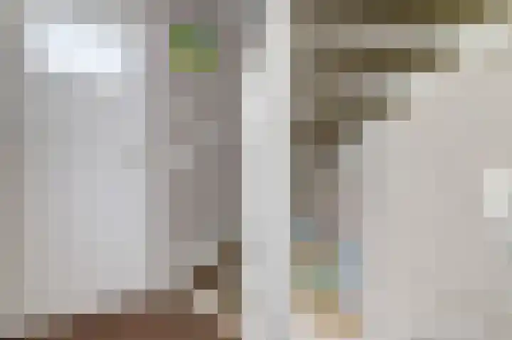 van Alkemadestraat 87 De Lier thumbnail 13
