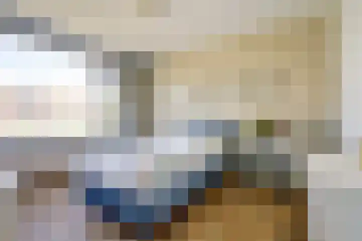 van Alkemadestraat 87 De Lier thumbnail 14